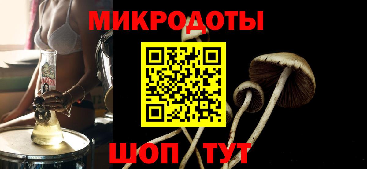 Псилоцибиновые грибы мицелий  где можно купить наркотик  Коряжма  Вход с VPN 